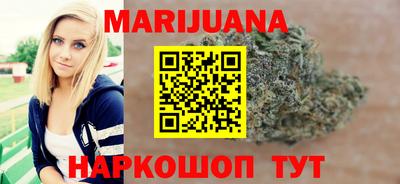 сатива Кандалакша