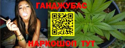 сатива Кандалакша
