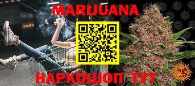 сатива Кандалакша