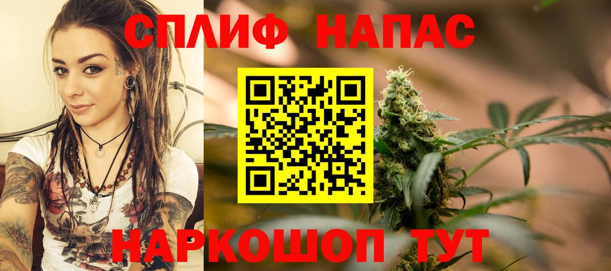 Шишки марихуана планчик Нальчик